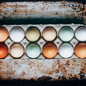 Vajíčka jsou dobrým zdrojem bílkovin.