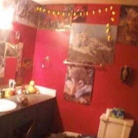 Koupelna sériového vraha byla polepena obrazy zvířat.