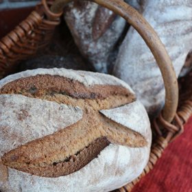 Chleba může způsobit celiakii