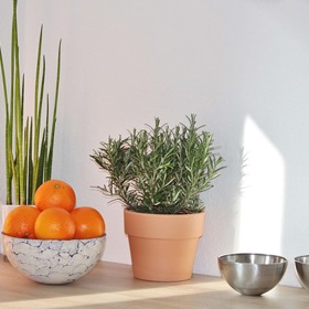 I bylinky v pěkném květináči mají své kouzlo