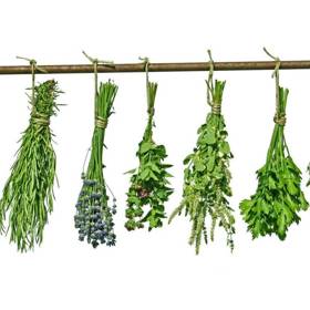 Bylinky byste pravidelně měli používat i v kuchyni