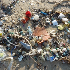 Stále častější výjev z pláží.