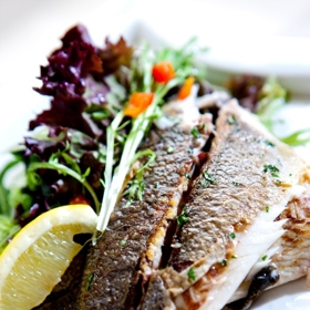 Ryby jsou vždy čerstvé.