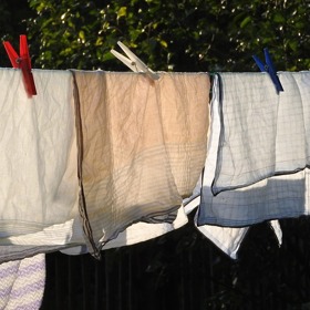 Odnést si ho můžete i ve vypraném prádle, které sušíte venku.