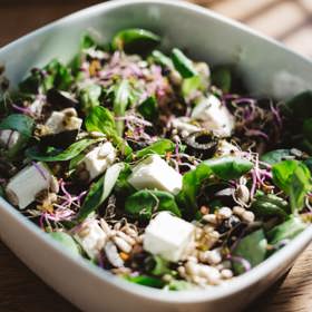 Všechny druhy octů jsou vynikající k dochucování salátů.