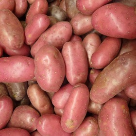 Existují i červené brambory, které jsou také lahodné.