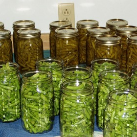 Fazolky můžete zavařit i na pozdější dobu.