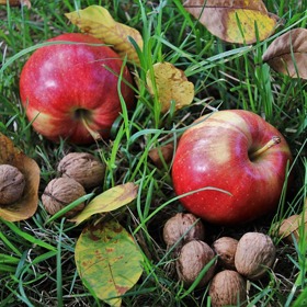 Jezte, ovoce, zeleninu, ryby a ořechy