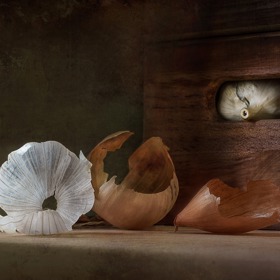 Česnek má rád tmu a sucho.