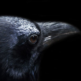 K nejznámějším z nich patří Havran.