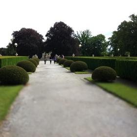 Co vidí dalekozraký člověk?