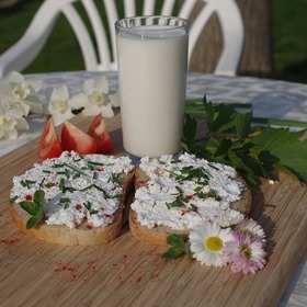 Chybu neuděláte ani s čerstvou pomazánkou a bylinkami.