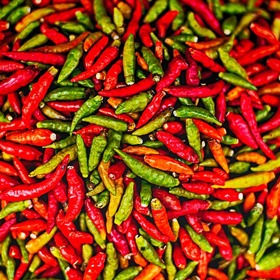 Chilli papričky jsou zelené i červené