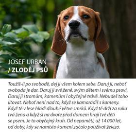 Rozumíte vztahům mezi člověkem a zvířetem?