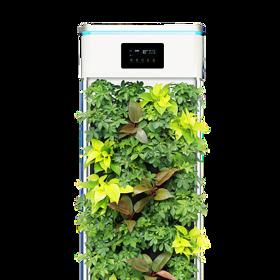 Čističky fungují jako taková oáza