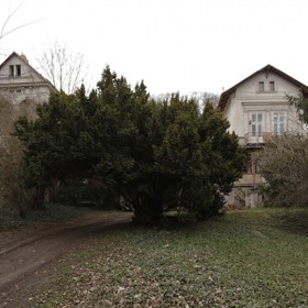 Údolí milované českými hvězdami černobílého filmu