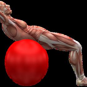 Pomáhá cvičení na míči