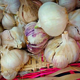 Česneku se říká "zabiják lásky".