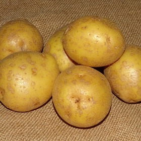 Bramborový škrob se používá i v kosmetice.