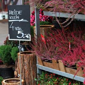 Blume 2000 na Prager Str. 11. 5 euro 4 kusy.