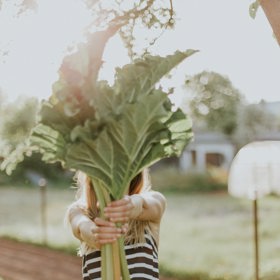 Přírodní obranné látky jsou pro vaše tělo mnohem přirozenější a lépe využitelné. Zelenina je jasná volba.