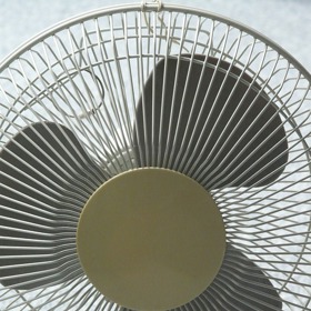 Boom větráků nastává pravidelně každé léto, když nás několik dní trápí tropické počasí.