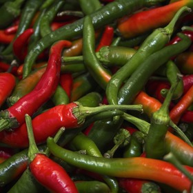 Chilli papričky si můžete vypěstovat i doma.