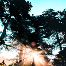 Vstávejte za světla.