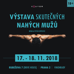 V Den svobody výstava startuje