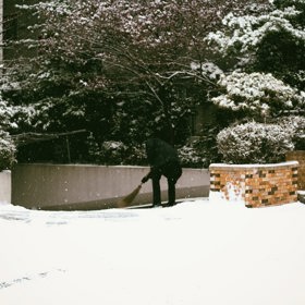 Zahrádka si přes zimu vyžaduje větší pozornost.