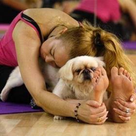 Cvičte se svým psem, prohloubí se váš vztah