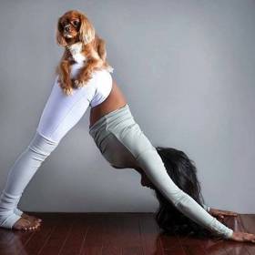 Některé polohy jsou více než vtipné