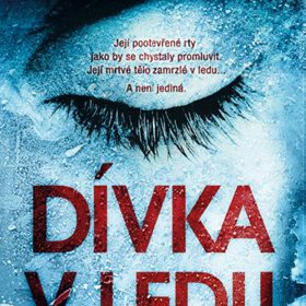 Skvělý thriller s nečekanou zápletkou, který nedokážete odložit.