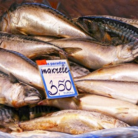 Makrela je zvláště bohatá na vitamin B12, selen, niacin a fosfor. A má málo kalorií.