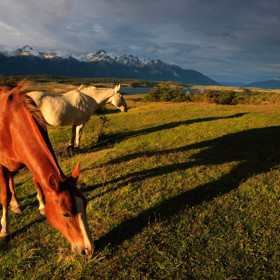 El Calafate, Patagonie.