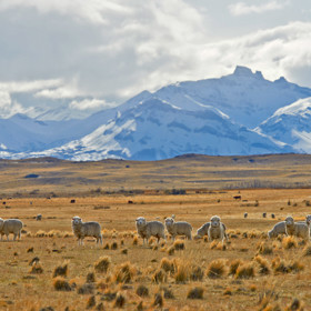 El Calafate, Patagonie.
