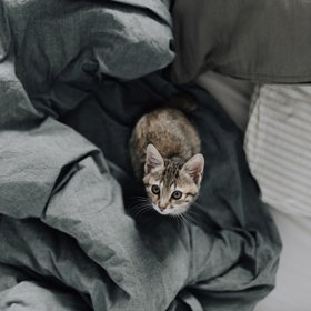 Máš smůlu, dneska tu spím já!