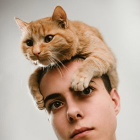 Pravděpodobně jste i členem skupiny "Bydlím u své kočky".