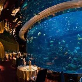 Nebo si dát večeři ve společnosti mořských tvorů