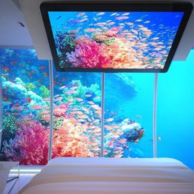 Barevné rybky vám budou dělat společnost