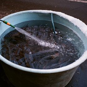 Začíná se blížit období, kdy se všude na ulicích objeví kádě s rybami.