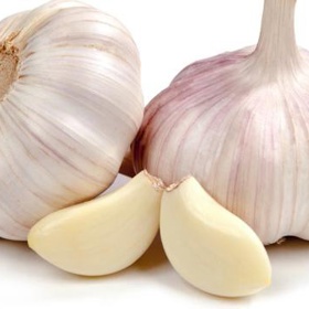 Česnek je účinným pomocníkem při boji s nachlazením.