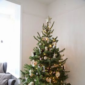 Stromečky s ozdobami z přírodních materiálů bývají nejkrásnější.