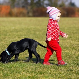 Dítě si musí uvědomit, že se psem přichází i zodpovědnost.
