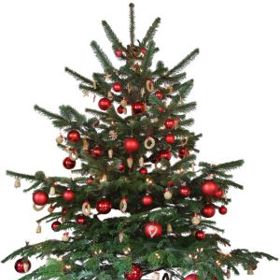 Smrk je sice nejlevnější variantou, ale také nejméně vydrží.