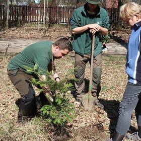Pokud zahrádku nemáte, můžete se zúčastnit hromadné výsadby v Krčském lese.
