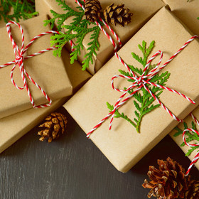Přiložte na dárky větvičku, vypadá to velmi stylově.