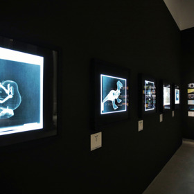 Výstava k 30 letům animace se blíží.