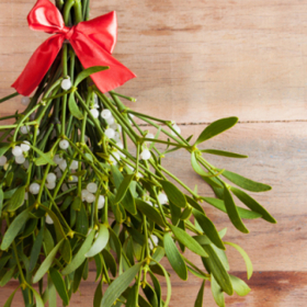 Milenci by se měli políbit pod jmelím