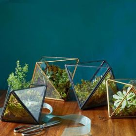 1. Pro vášnivé zahradnice: zahrádka v mini teráriu.